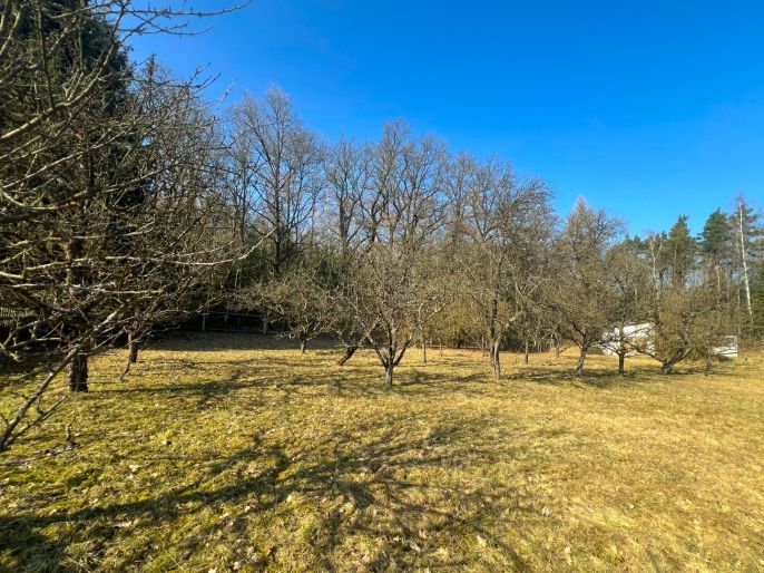 Prodej, Zahrada, Strakonice