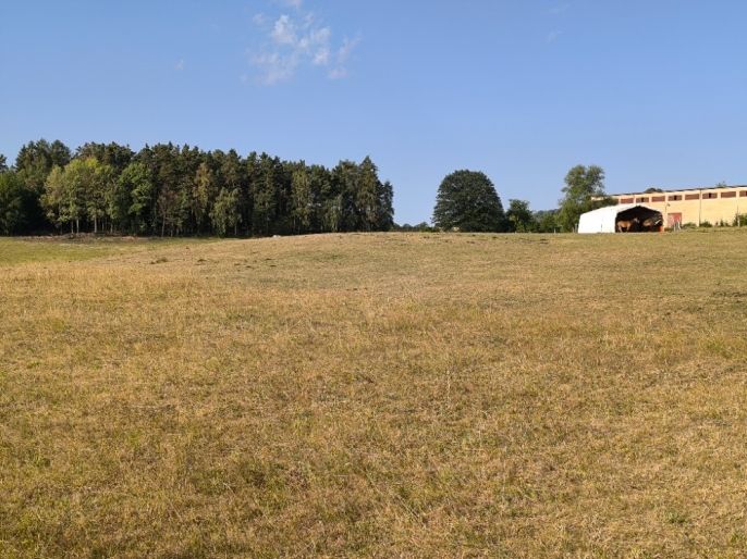 Prodej, Louka, Hoslovice