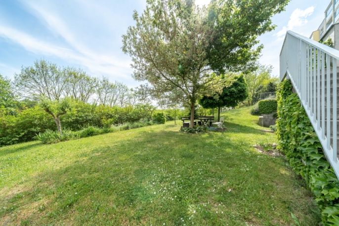 Pronájem, Byt 1+kk, Plzeň