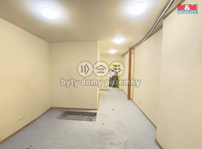 Pronájem, Obchod a služby, Slaný