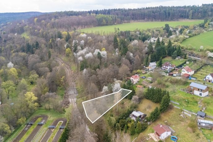 Prodej, Zahrada, Plasy