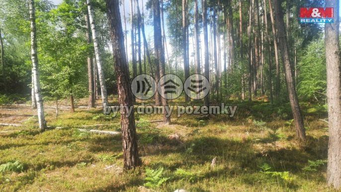 Prodej, Les, Březovice