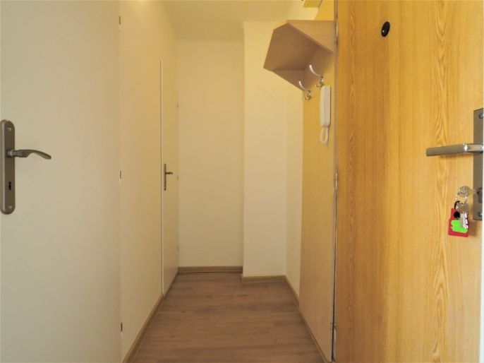 Pronájem, Byt 1+1, Ostrava