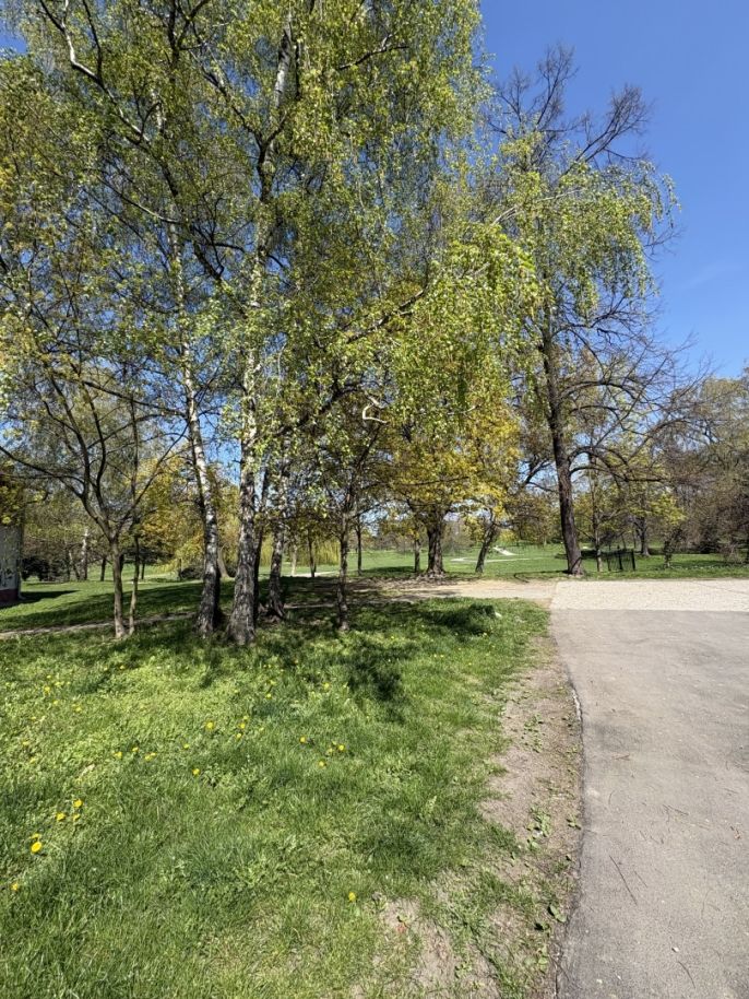 Pronájem, Byt 1+kk, Ostrava