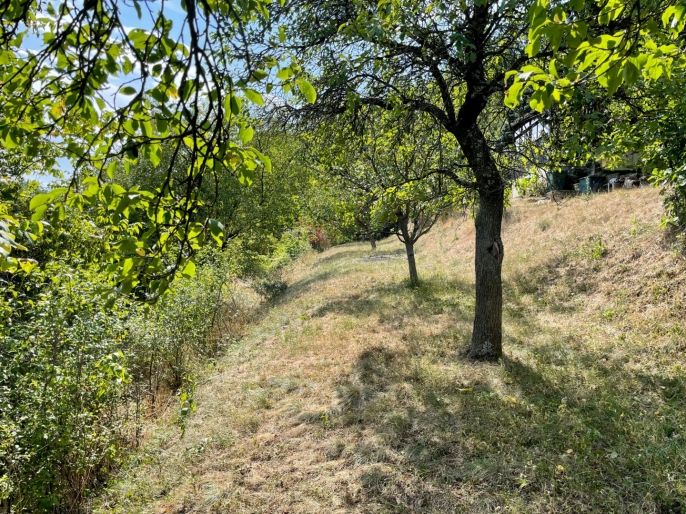 Prodej, Zahrada, Brno