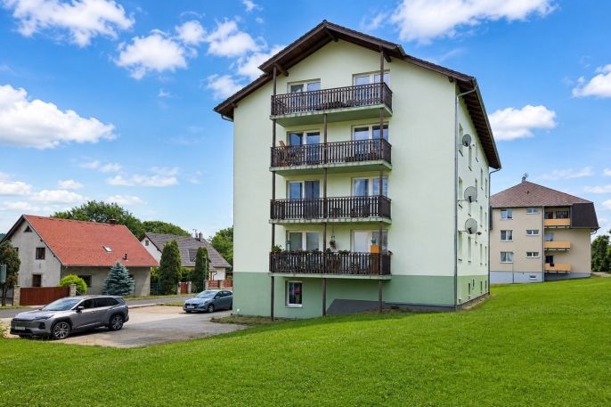Pronájem, Byt 1+1, Nová Role