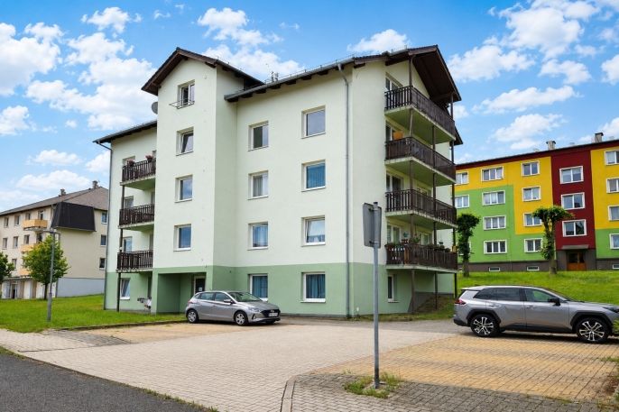 Pronájem, Byt 1+1, Nová Role