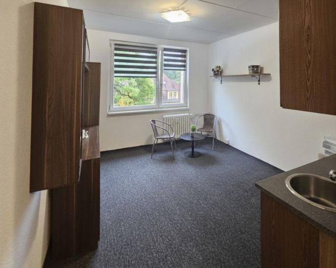 Pronájem, Byt 1+kk, Nejdek