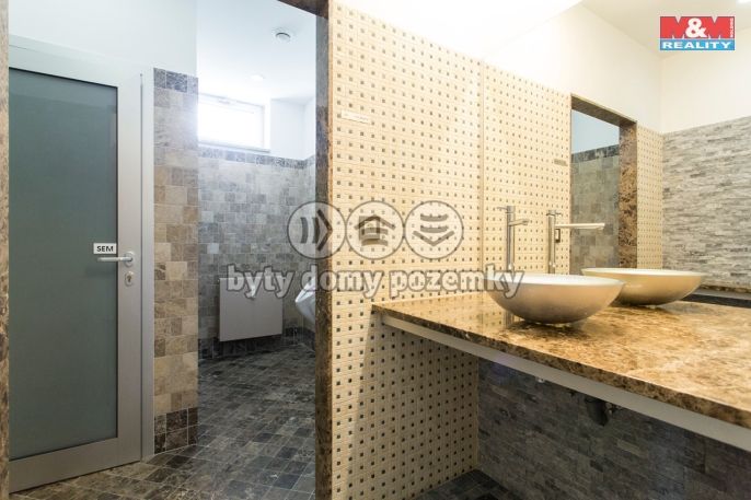 Pronájem, Kancelářský prostor, Mladá Boleslav