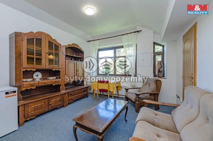 Prodej, Hotel, penzion, Rokytnice v Orlických horách