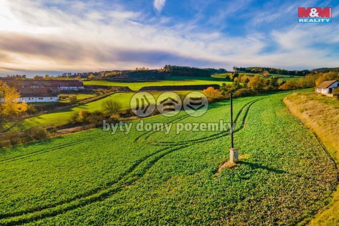 Prodej, Louka, Mladotice