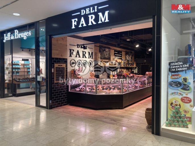 Pronájem, Obchod a služby, Praha