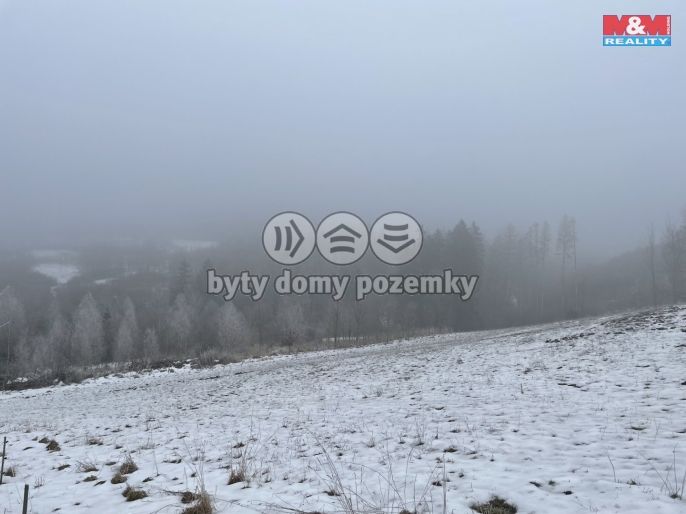 Prodej, Les, Železný Brod