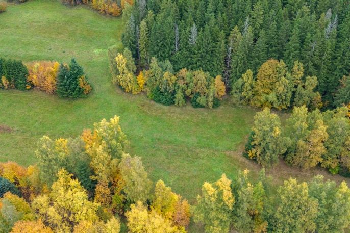 Prodej, Louka, Tanvald