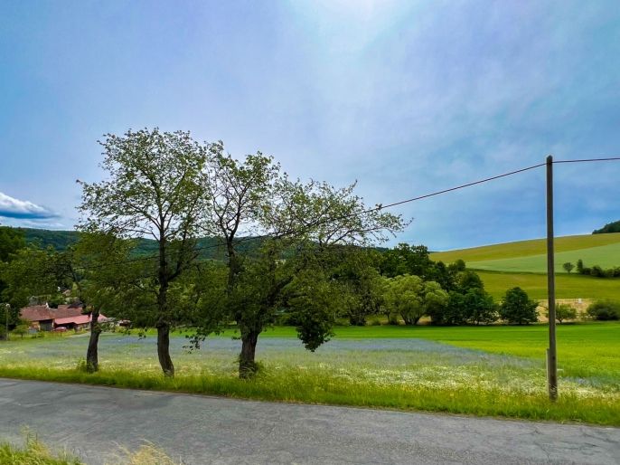Prodej, Pozemek k bydlení, Poleň