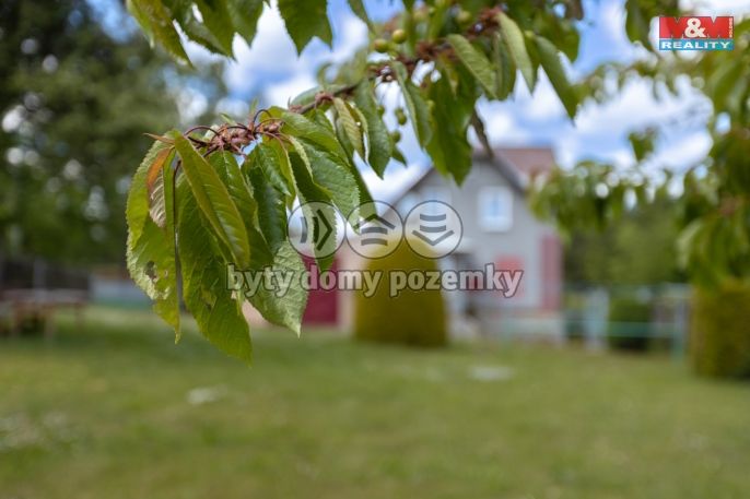 Prodej, Rodinný dům, Černava