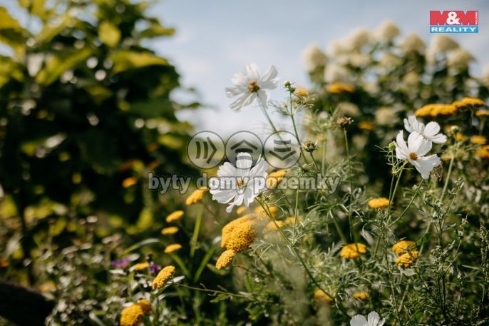 Prodej, Pozemek k bydlení, Sušice