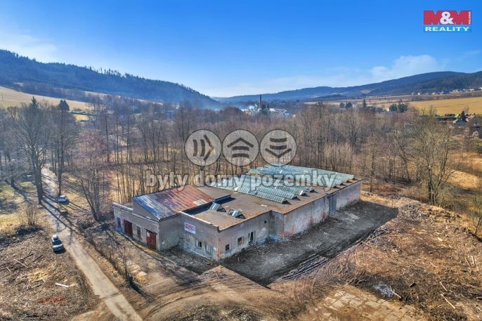 Prodej, Obchod a služby, Červená Voda