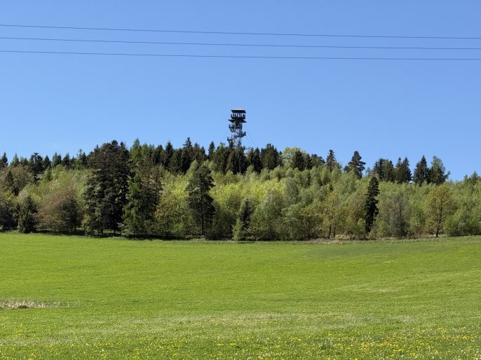 Prodej, Rodinný dům, Město Albrechtice