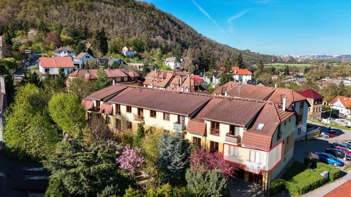 Prodej, Byt 1+kk, Černošice