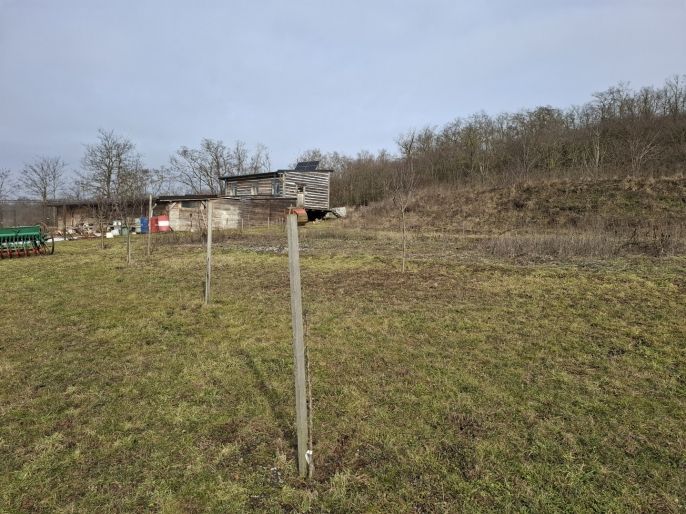 Prodej, Pole, Pohořelice