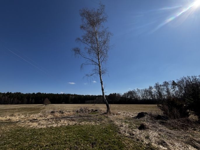 Prodej, Chalupa, Benešov nad Černou