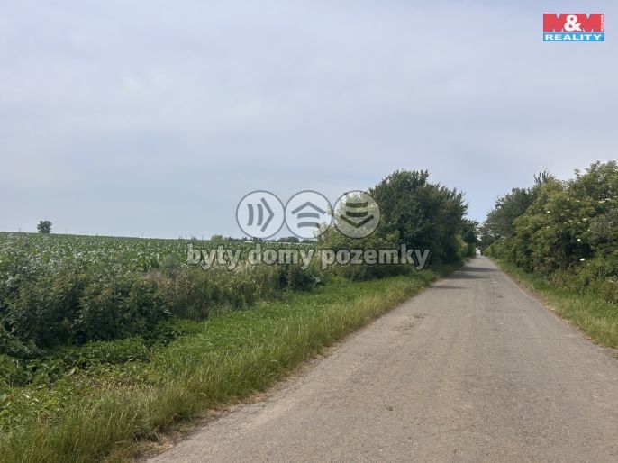 Prodej, Pole, Prostějov