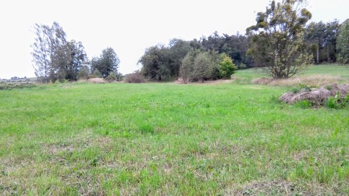 Prodej, Pozemek k bydlení, Lichnov