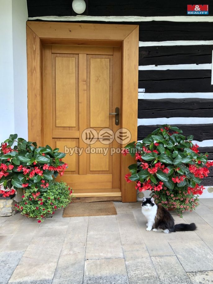 Prodej, Hotel, penzion, Česká Skalice