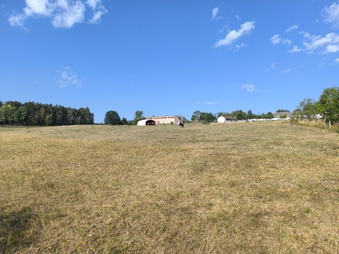 Prodej, Louka, Hoslovice