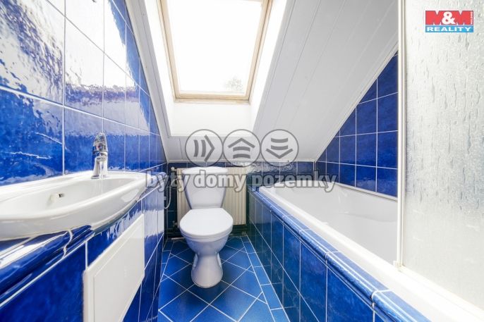 Prodej, Hotel, penzion, Dolní Žandov