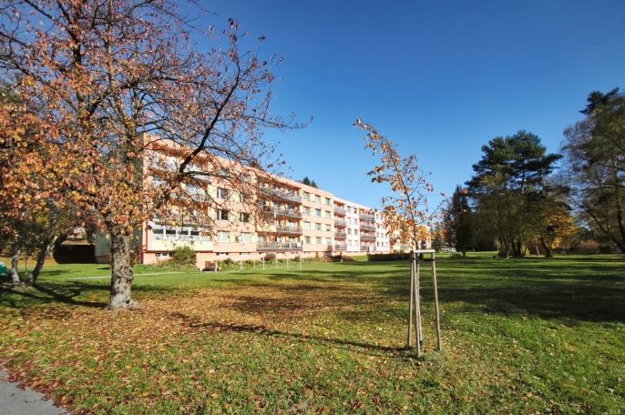 Prodej, Byt 2+1, Světlá nad Sázavou