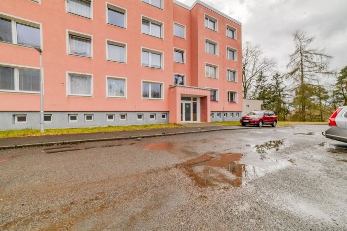 Prodej, Byt 1+1, Planá