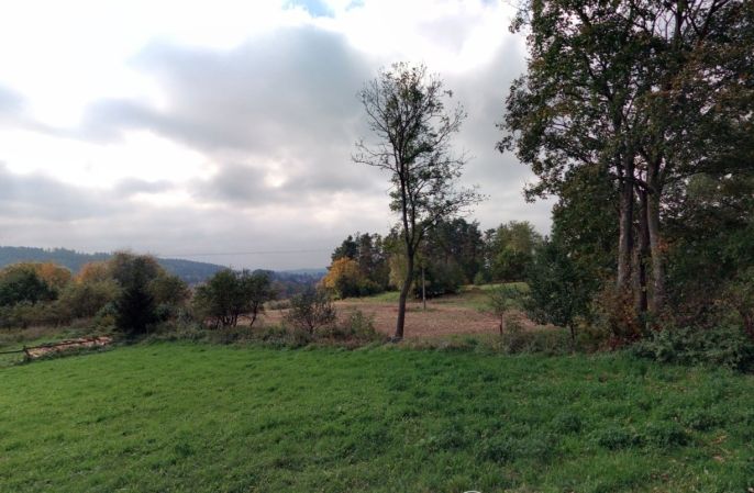 Prodej, Louka, Petrovice