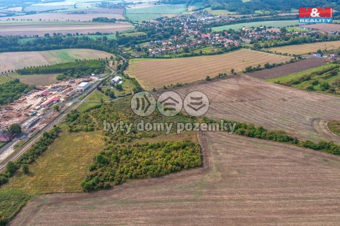 Prodej, Ovocný sad, Chotiměř