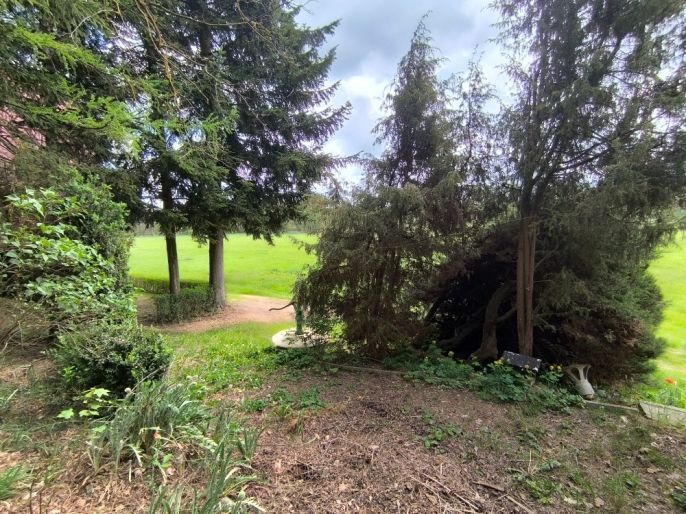 Prodej, Chata, Němětice