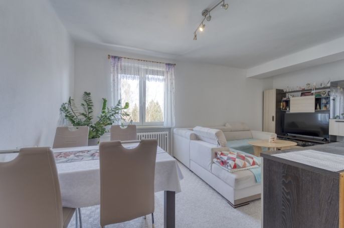 Prodej, Byt 2+1, Horažďovice