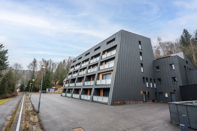 Pronájem, Byt 1+kk, Janov nad Nisou