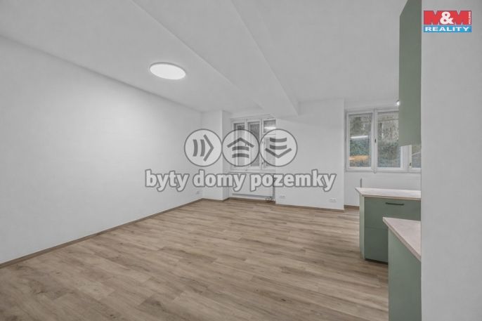 Prodej, Byt 1+kk, Praha