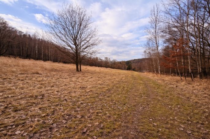 Prodej, Pastvina, Křečovice