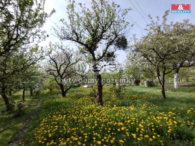 Prodej, Zahrada, Šenov u Nového Jičína