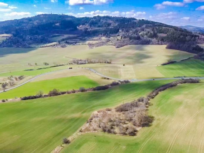 Prodej, Ovocný sad, Sušice