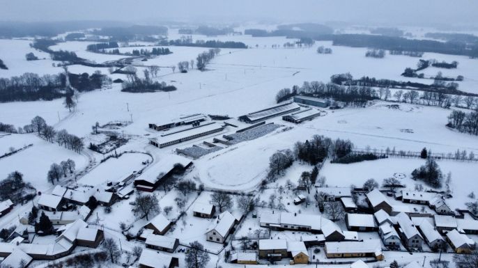 Prodej, Louka, Březí