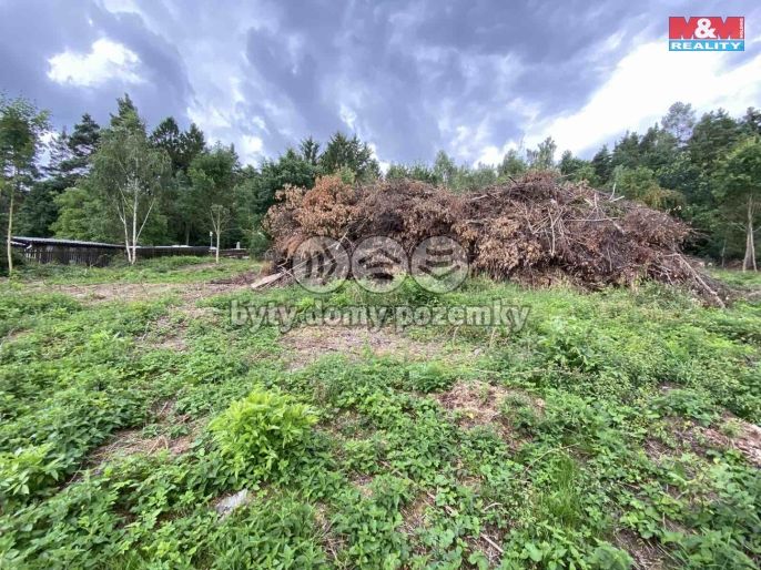 Prodej, Zemědělská usedlost, Jesenice