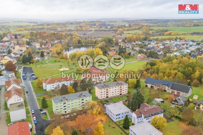 Pronájem, Byt 2+1, Planá