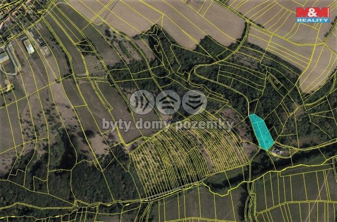 Prodej, Louka, Nová Dědina