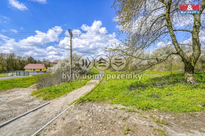 Prodej, Zahrada, Čistá