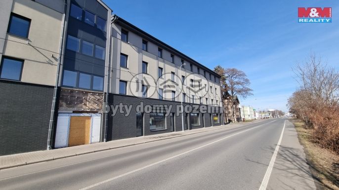 Pronájem, Obchod a služby, Český Těšín