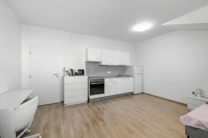 Pronájem, Byt 1+kk, Horoměřice