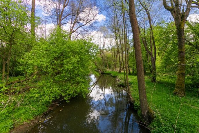 Prodej, Chata, Česká Bříza